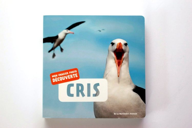 Le Cri De La Mouette Livre Audio