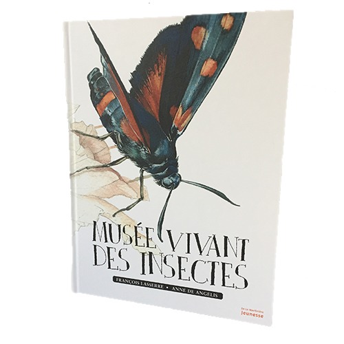 Musée Vivant Des Insectes